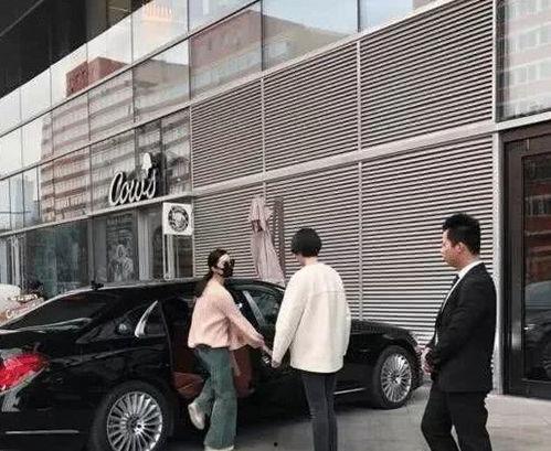 范姓明星,璀璨星河中的璀璨星辰