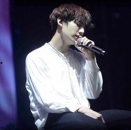 哥哥是哪个明星,哥哥竟是娱乐圈的璀璨明星