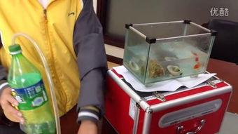 科学小制作的视频,视频中的趣味小制作揭秘