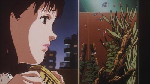 日本忍者动漫av大片,日本忍者动漫中的激情冒险之旅