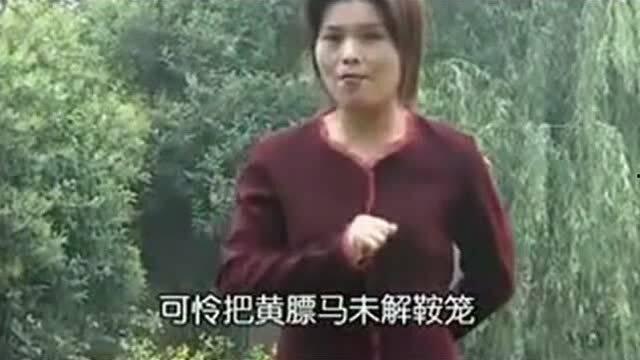 商芳会秦腔唱段精选视频,传承经典，演绎人生百态