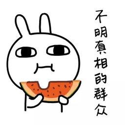 娱乐吃瓜酱如何省钱